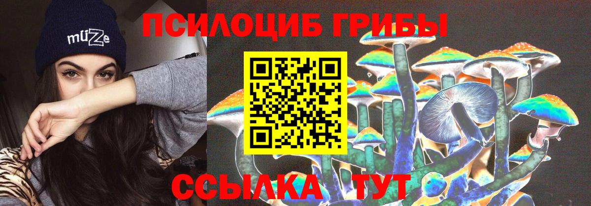 Верхняя Пышма  Галлюциногенные грибы Cubensis  Вход с VPN 